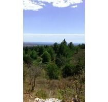 albero:) Panoramalage im Priorat - 100km bis Barcelona - Castellvell del Camp Katalonien