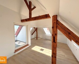 albero:) mittendrin statt nur dabei - Seligenstadt
