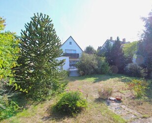 albero:) Willkommen im neuen Zuhause  charmantes Einfamilienhaus mit viel Platz für die Familie - Babenhausen