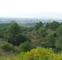 albero:) Panoramalage im Priorat - Castellvell del Camp Katalonien albero:) Panoramalage im Priorat - Castellvell del Camp Katalonien