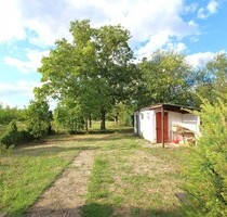 albero:) 3 Wohnungen + Gewerbeinheit auf großem Areal - Seligenstadt Klein-Welzheim