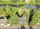 Foto - albero:) direkt am Main - 375.000,00 EUR Kaufpreis, ca.  437,00 m²