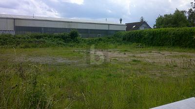 Foto - Gewerbeobjekt (Büro, Produktion, Verkauf) zum Kaufen in Eimeldingen