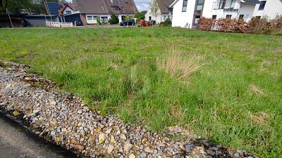Foto - Grundstück zum Kaufen in Osnabrück