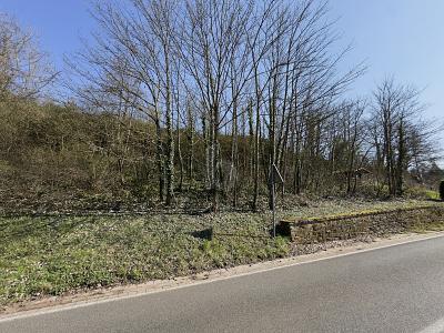 Foto - Grundstück zum Kaufen in Bullay