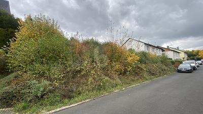 Foto - IHR PLATZ AN DER SONNE! - 100.000,00 EUR Kaufpreis, ca.  779,00 m²