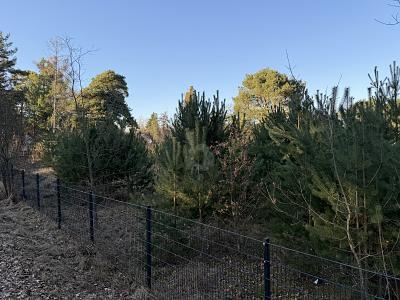 Foto - Grundstück in Schulzendorf zum Kaufen