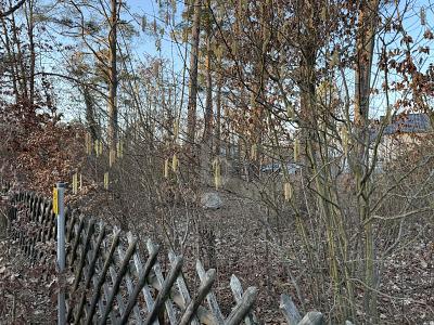 Foto - Grundstück in Wandlitz zum Kaufen