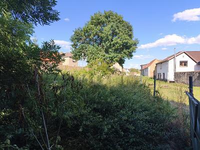 Foto - Grundstück zum Kaufen in Allstedt