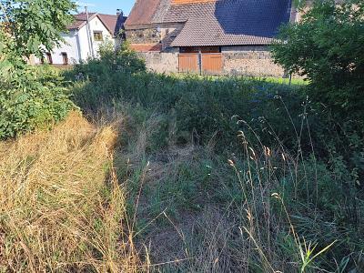 Foto - Grundstück in Allstedt