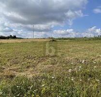 WO DIE TRÄUME WAHR WERDEN KÖNNEN - Kraichtal