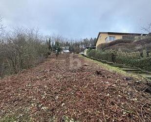 TOP LAGE + PREIS, 2 GRUNDSTÜCKE,EINZELVERKAUF - Lieser