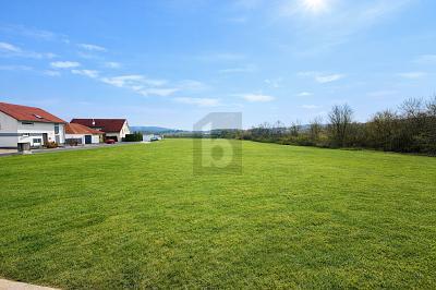 Foto - Grundstück zum Kaufen in Seybothenreuth