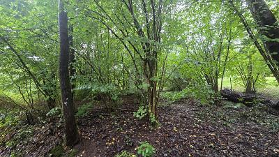 Foto - Freizeitgrundstück zum Kaufen in Eberbach