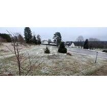 WOHNEN MIT ALPENSICHT - 120.000,00&nbsp;EUR Kaufpreis, ca.&nbsp; 600,00&nbsp;m&sup2; in Eisenbach (Hochschwarzwald) (PLZ: 79871)