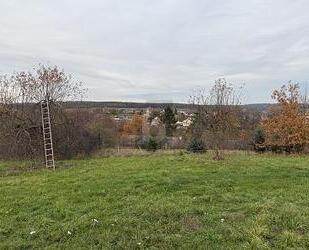 IDEALE MISCHUNG AUS LÄNDLICHER IDYLLE & LAGE - Schönbrunn