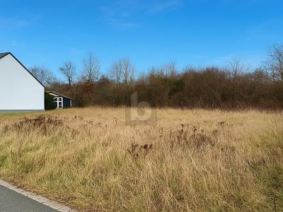 Foto - Grundstück zum Kaufen in Eckersdorf