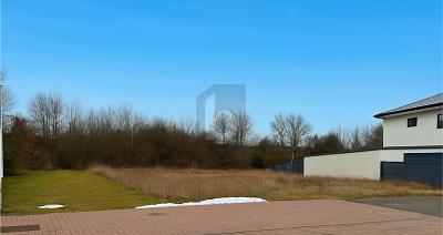 Foto - Grundstück in Eckersdorf