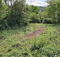 TRAUMSTÜCK IN DER FRÄNKISCHEN LANDSCHAFT - Priesendorf