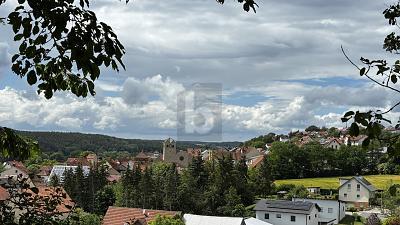 Foto - Grundstück in Priesendorf zum Kaufen
