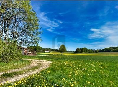 Foto - LASSEN SIE IHRER KREATIVITÄT FREIEN LAUF