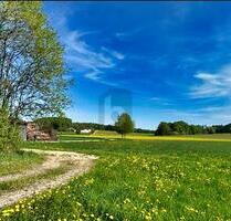 LASSEN SIE IHRER KREATIVITÄT FREIEN LAUF - Parsberg