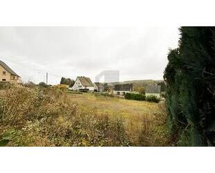 HANGPARADIES MIT POTENZIAL - 55.000,00&nbsp;EUR Kaufpreis, ca.&nbsp; 654,00&nbsp;m&sup2; in Langenhahn (PLZ: 56459)