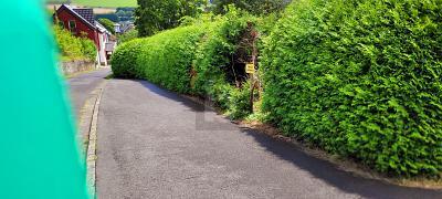 Foto - Mehrfamilienhaus, Wohnhaus mit 326,00 m&sup2; in Schönecken zum Kaufen