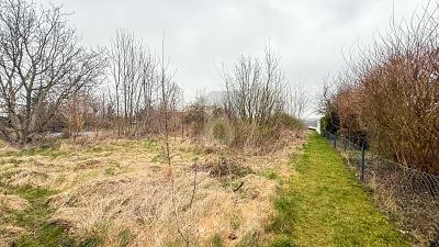 Foto - Grundstück in Barsinghausen zum Kaufen