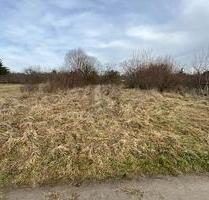 PLANE DEIN EIGENES TRAUMHAUS IM GRÜNEN - Keltern