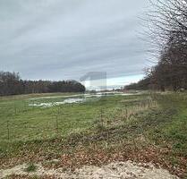EINZIGARTIG UND NATURBELASSEN MIT BAUGRUNDSTÜCK - Zierow