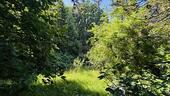 Foto - LAGEJUWEL MIT TEICHBLICK AM BERNER GUTSPARK
