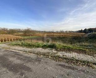 TRAUMHAFTES GRUNDSTÜCK IN DER NATUR - Dettenheim