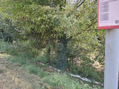 Foto - Grundstück in Merzig zum Kaufen