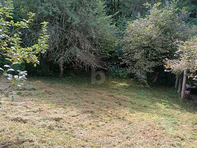 Foto - IDYLLISCH, VIEL PLATZ FÜR IHR PROJEKT