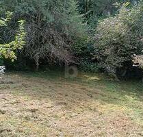 IDYLLISCH, VIEL PLATZ FÜR IHR PROJEKT - Merzig