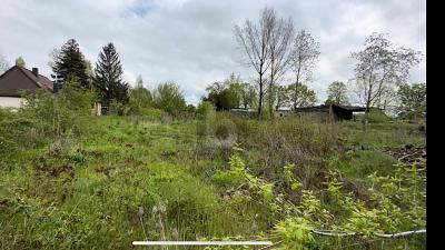 Foto - Grundstück zum Kaufen in Spickendorf