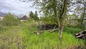 Foto - Grundstück in Spickendorf