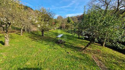 Foto - GROß UND GÜNSTIG - 65.000,00 EUR Kaufpreis, ca.  800,00 m²