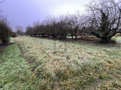 Foto - Grundstück zum Kaufen in Sinzheim