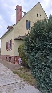 Foto - 6 Zimmer Mehrfamilienhaus, Wohnhaus zum Kaufen in Berlin-Karow