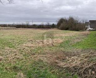 DER TRAUM VOM EIGENHEIM VERWIRKLICHEN - Durmersheim