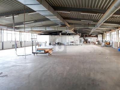 Foto - UNTERNEHMER-PROJEKT, NAHE DER NL GRENZE