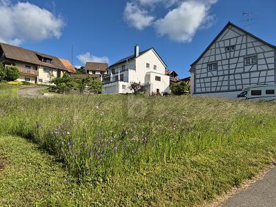 Foto - Grundstück in Allensbach