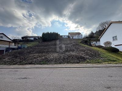 Foto - Grundstück in Beckingen