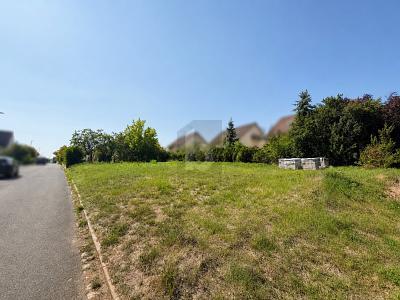 Foto - Grundstück in Dormitz