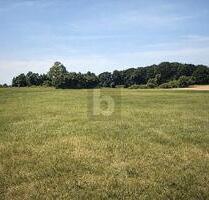 GROßZÜGIGE GRÜNLANDFLÄCHE - 62.000,00&nbsp;EUR Kaufpreis, ca.&nbsp; 44.096,00&nbsp;m&sup2; in Dreschvitz (PLZ: 18573)