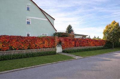 Foto - KEINE KÄUFERPROVISION FÄLLIG! - 249.000,00&nbsp;EUR Kaufpreis, ca.&nbsp; 146,00&nbsp;m&sup2;&nbsp;Wohnfl&auml;che