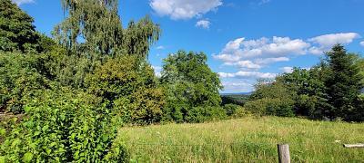 Foto - Grundstück in Schwäbisch Gmünd