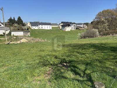 Foto - Grundstück in Heidweiler zum Kaufen